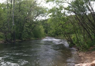 A restored river reach lined with trees